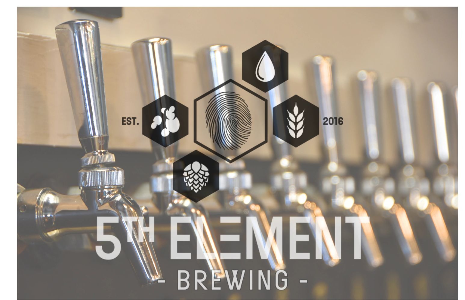 5th Element Brewing